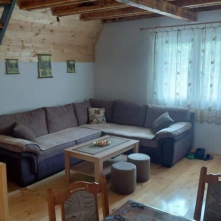 Vila Daniela Zaovine Kültér fotó