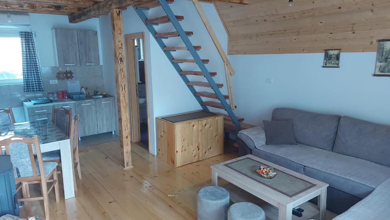 Vila Daniela Zaovine Kültér fotó