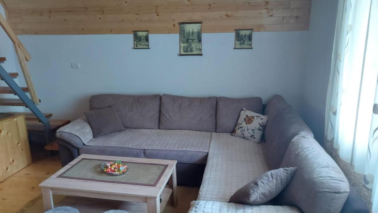Vila Daniela Zaovine Kültér fotó