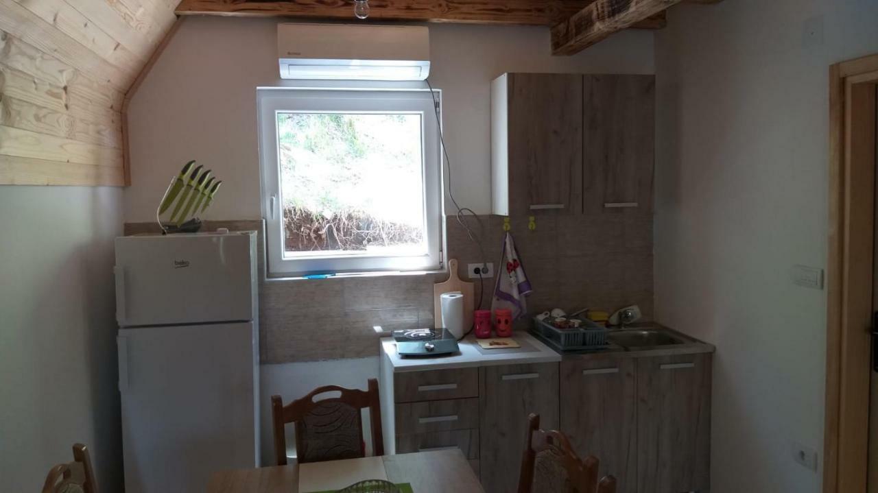 Vila Daniela Zaovine Kültér fotó