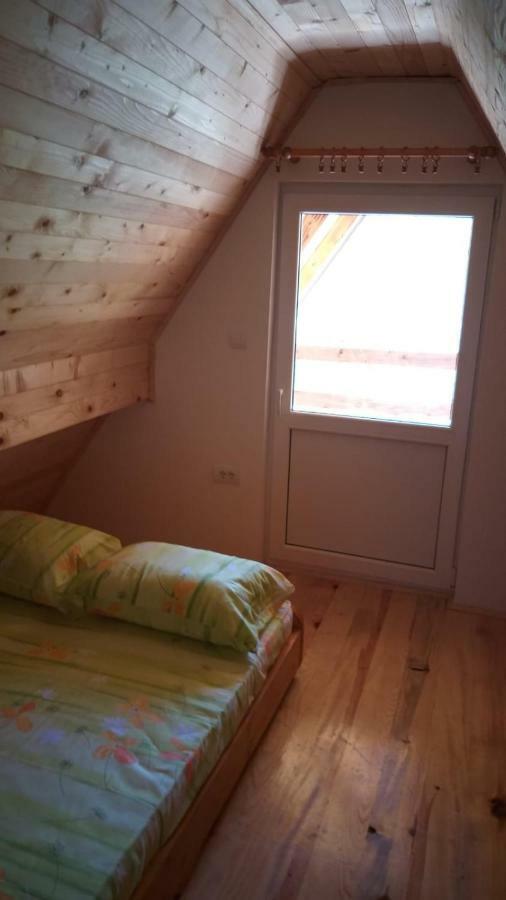 Vila Daniela Zaovine Kültér fotó