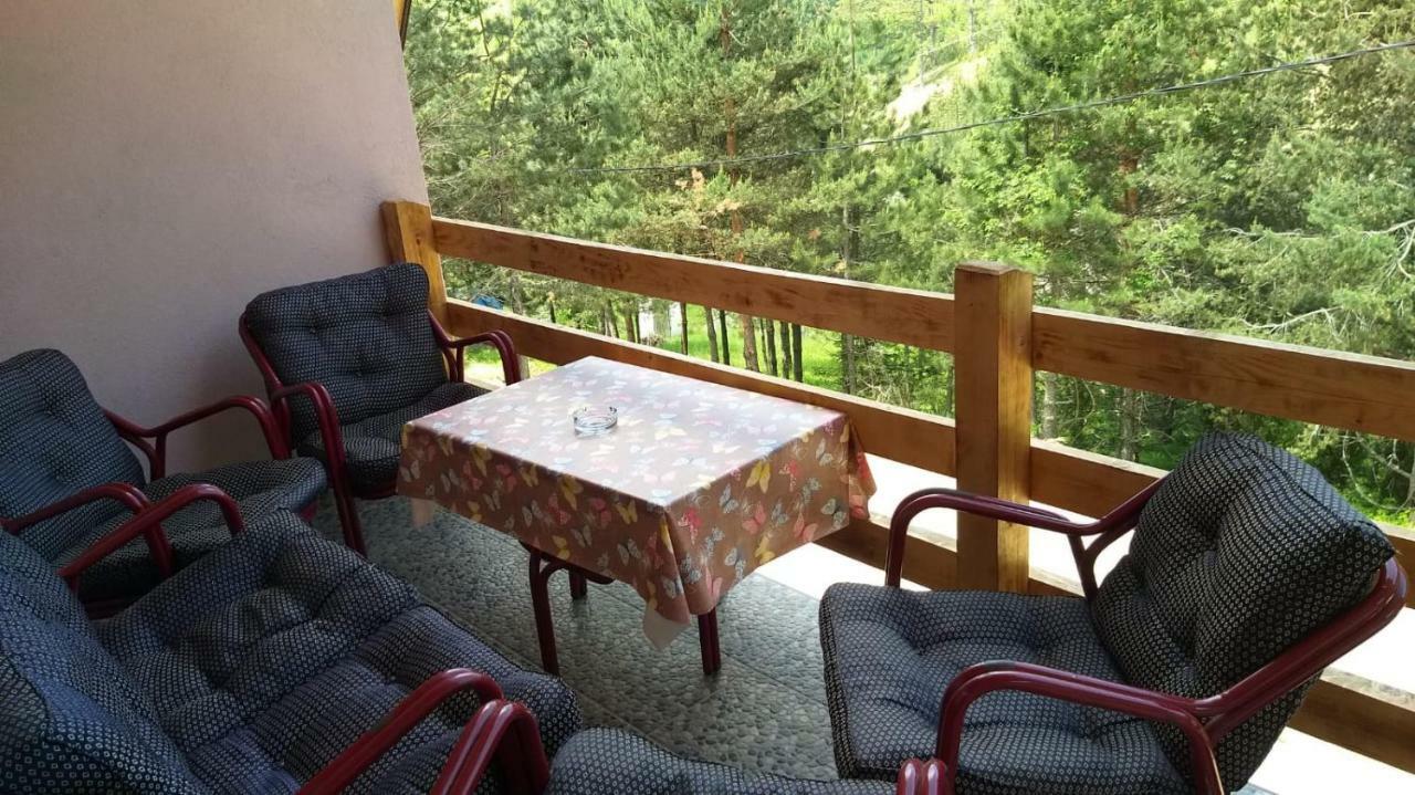 Vila Daniela Zaovine Kültér fotó