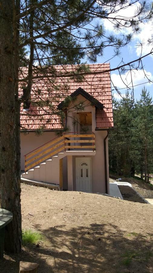 Vila Daniela Zaovine Kültér fotó