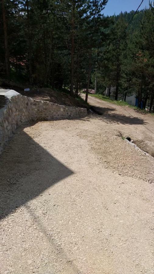 Vila Daniela Zaovine Kültér fotó