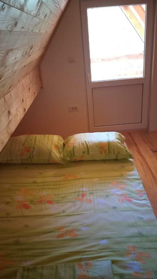 Vila Daniela Zaovine Kültér fotó