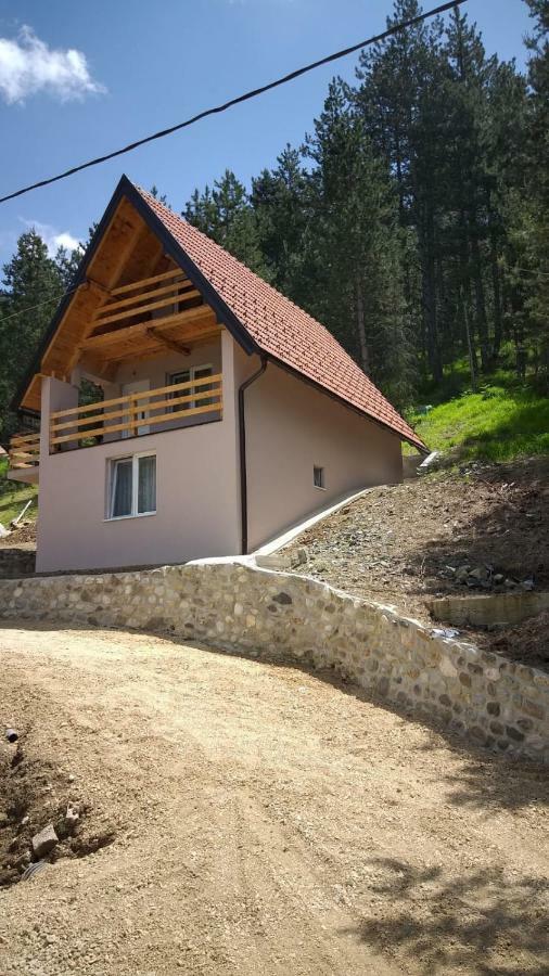 Vila Daniela Zaovine Kültér fotó